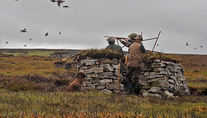 Three men at Bolton Abbey stood by a stone wall shooting grouse