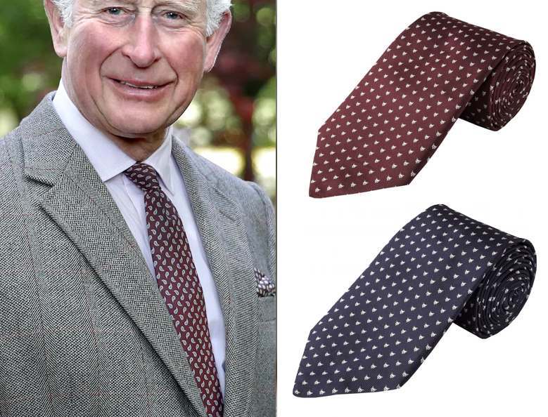 A smiling Prince Charles wears a silk paisley tie