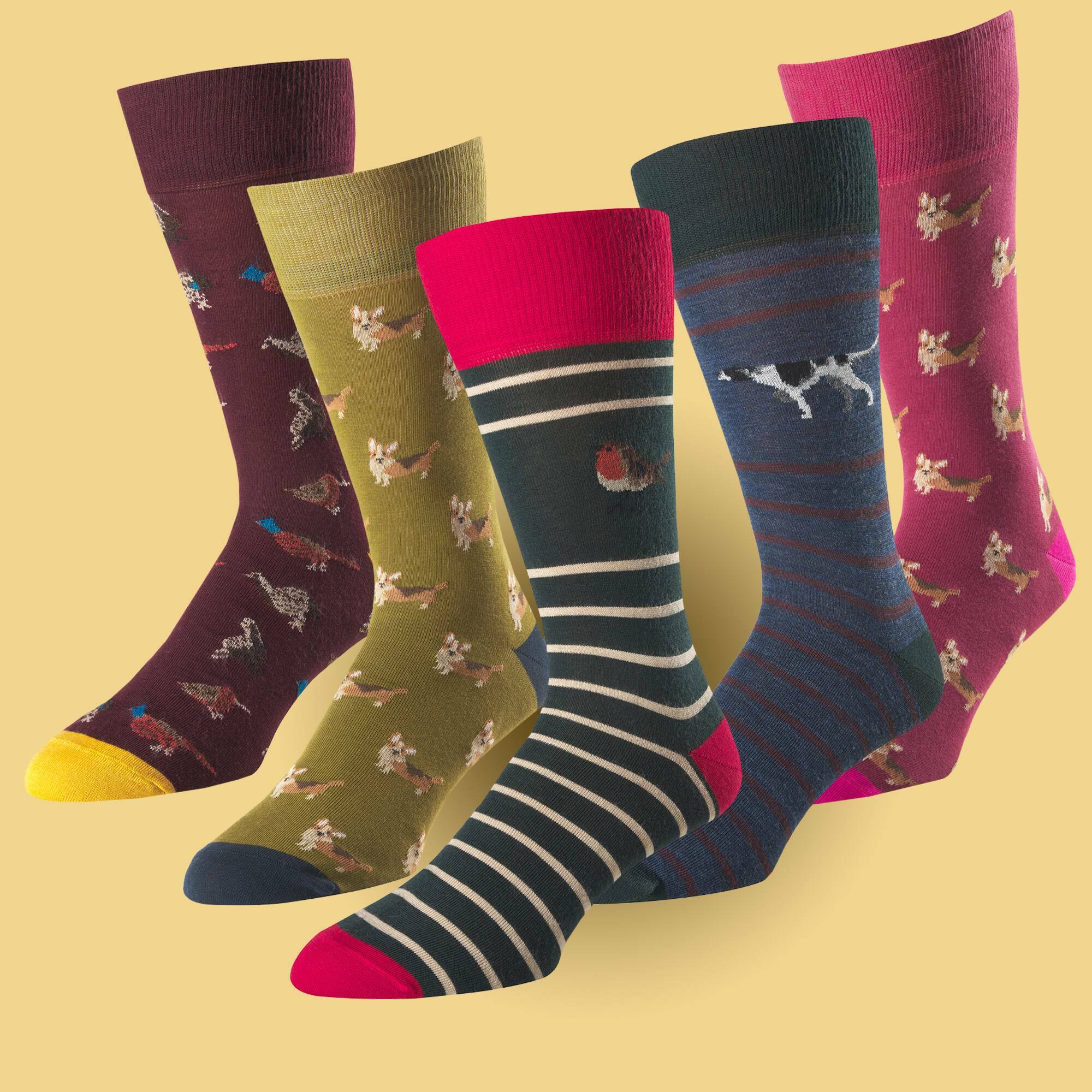 Corgi Socks: Where Heritage Meets Craftsmanship