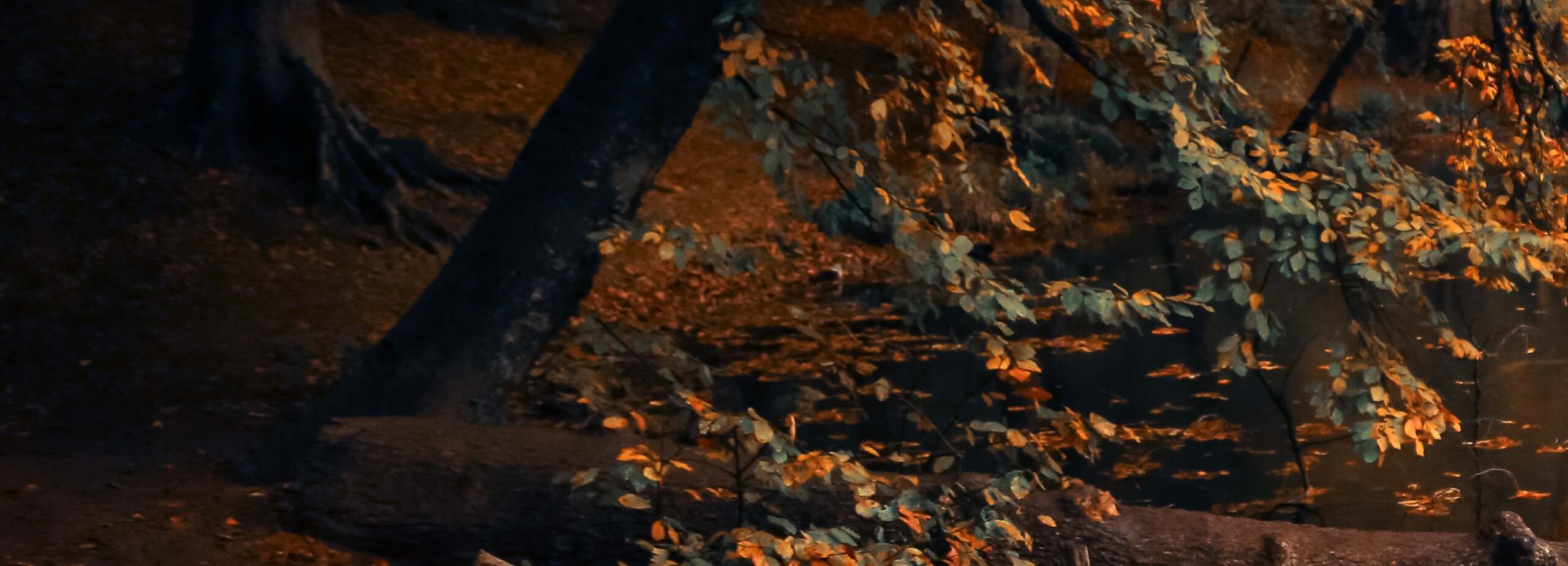 Men's Autumn Winter 2025